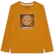 T-shirt enfant Timberland T25U36-575-J