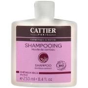 Shampooings Cattier Shampooing Cheveux Secs Moelle de Bambou 250Ml