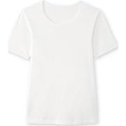 T-shirt Daxon by - Lot de 3 maillots de corps col rond