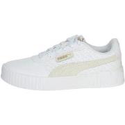 Baskets montantes Puma 392518