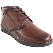Chaussures Baerchi Bottine homme 5321 marron