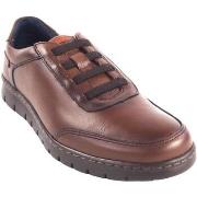 Chaussures Baerchi Chaussure homme 5323 marron