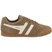 Baskets Gola HARRIER SUEDE