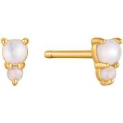 Boucles oreilles Ania Haie Boucles d'oreilles puces Rising Star doré o...