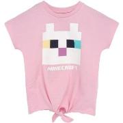 T-shirt enfant Minecraft NS6689