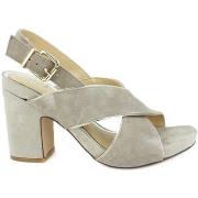 Chaussures Café Noir Sandalo Taupe ILA524