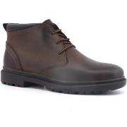 Chaussures Geox Andalo Stivaletto Stile Clark Uomo Coffee U36DDB000FFC...