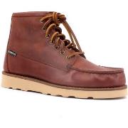 Chaussures Sebago Tala Stivaletto Uomo Brown 77114RW