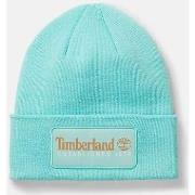 Chapeau Timberland TB0A2PTD ESTABLISHED 1973-EB9 LTGRN