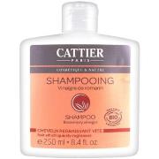 Shampooings Cattier Shampooing Cheveux Regraissant Vite Vinaigre de Ro...