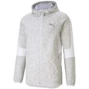 Sweat-shirt Puma EVOSTRIPE FULL-ZIP