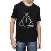 T-shirt enfant Harry Potter BI1641