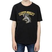 T-shirt enfant Harry Potter BI1084