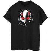 T-shirt Ant-Man And The Wasp BI339