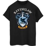 T-shirt Harry Potter BI1637