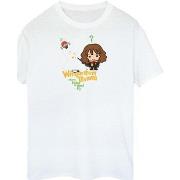 T-shirt enfant Harry Potter Wingardium Leviosa