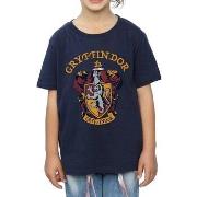 T-shirt enfant Harry Potter BI799