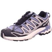 Chaussures Salomon -