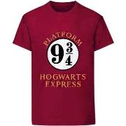 T-shirt Harry Potter HE225
