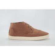 Chaussures Toms Tennis Hommes