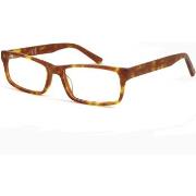 Lunettes de soleil Exit EX466 Cadres Optiques, Havana clair, 52 mm