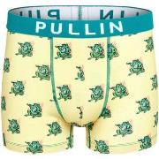 Boxers Pullin Boxer Master FROGGY24