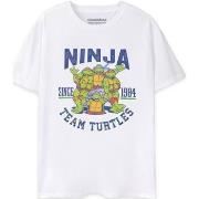 T-shirt Teenage Mutant Ninja Turtles 1984