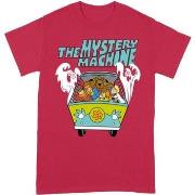 T-shirt Scooby Doo BI131