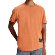 T-shirt Calvin Klein Jeans J30J323482