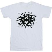 T-shirt Dc Comics Batman Bat Swirl