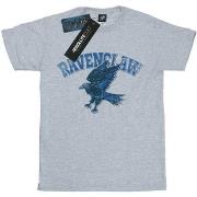 T-shirt enfant Harry Potter BI1409