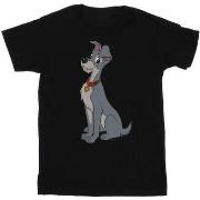 T-shirt Disney Lady And The Tramp