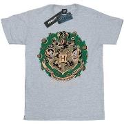 T-shirt enfant Harry Potter BI1681