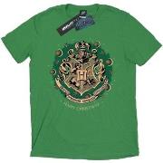 T-shirt Harry Potter BI1711