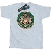 T-shirt Harry Potter BI1711