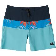 Maillots de bain Quiksilver Surfsilk Panel 18"