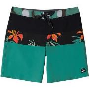 Maillots de bain Quiksilver Surfsilk Panel 18"