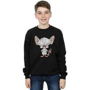 Sweat-shirt enfant Animaniacs BI5606