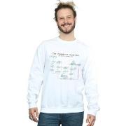 Sweat-shirt The Big Bang Theory Friendship Algorithm