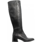 Bottines Curiosite 2125 NERO