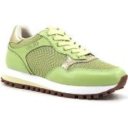 Chaussures Liu Jo Wonder 39 Sneaker Donna Light Green BA4067PX030