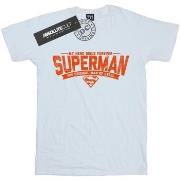 T-shirt enfant Dc Comics My Hero