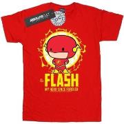 T-shirt enfant Dc Comics Flash My Hero Since Forever