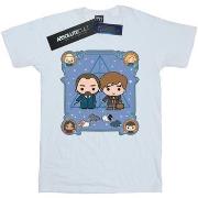 T-shirt enfant Fantastic Beasts BI17816