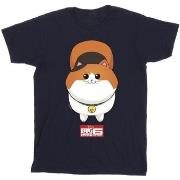 T-shirt Disney Big Hero 6 Baymax Kitten Face