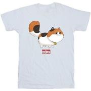 T-shirt Disney Big Hero 6 Baymax Kitten Pose