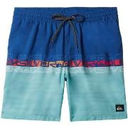 Maillots de bain Quiksilver Everyday Wordblock Volley 17"