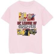 T-shirt enfant Dc Comics BI16655