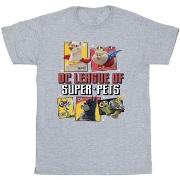 T-shirt enfant Dc Comics DC League Of Super-Pets Profile