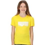 T-shirt enfant Regatta RG7462